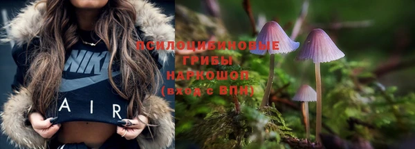 тгк Гусев