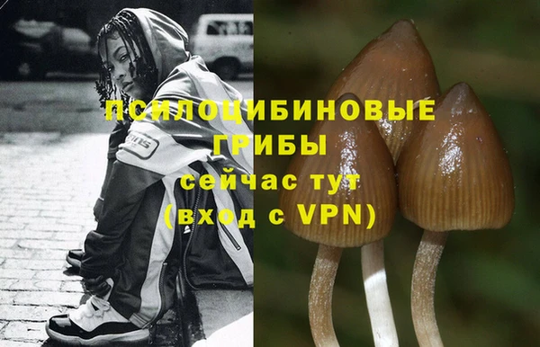соль ск Вяземский