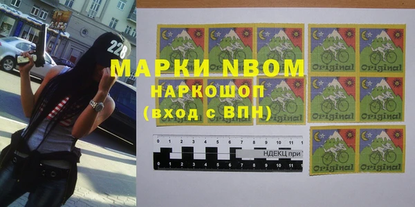соль ск Вяземский