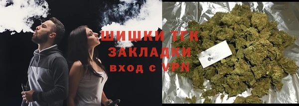 соль ск Вяземский