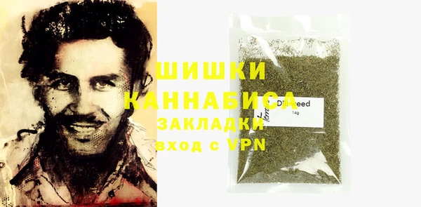 соль ск Вяземский